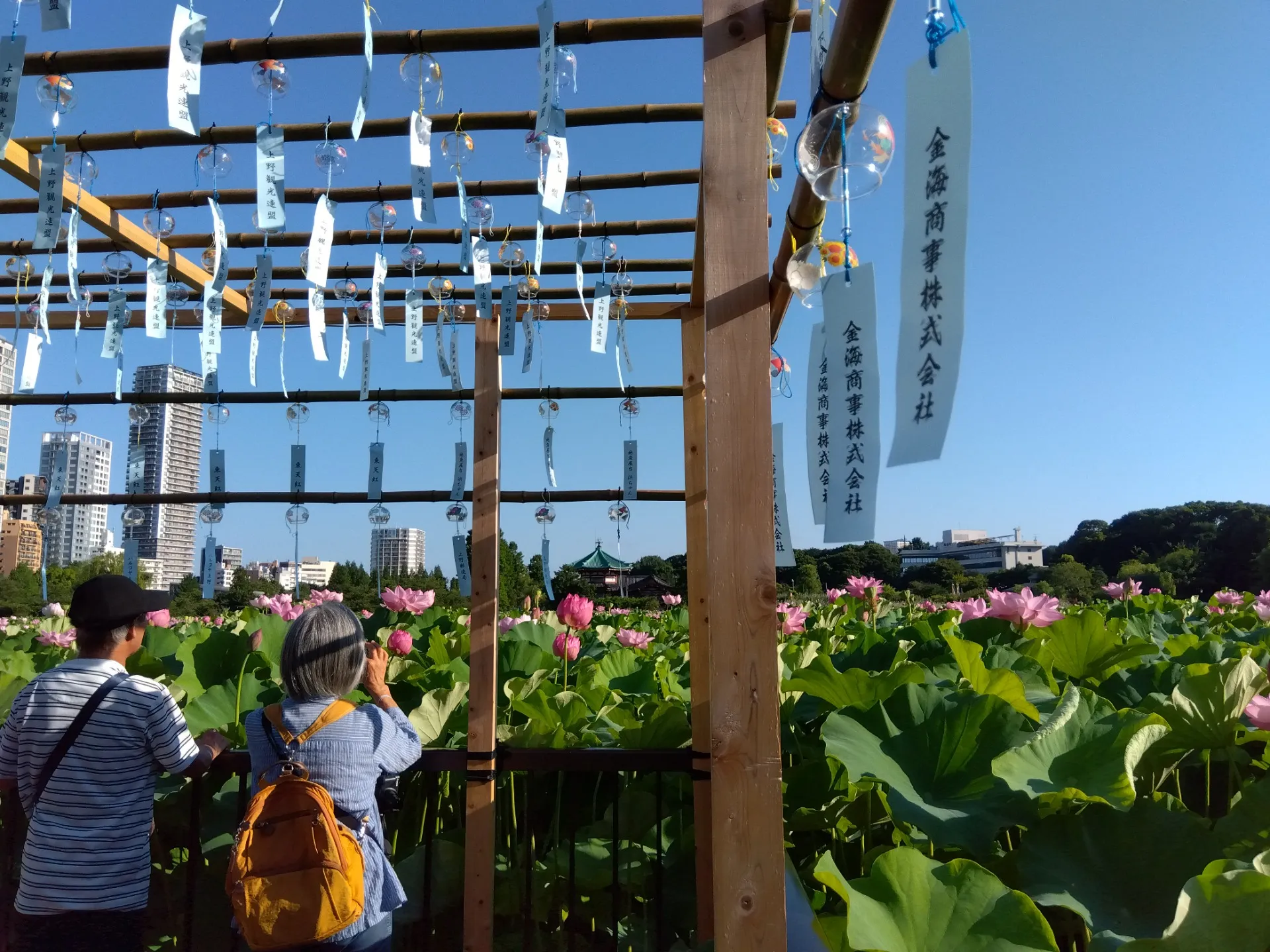 就職して半年を経過して